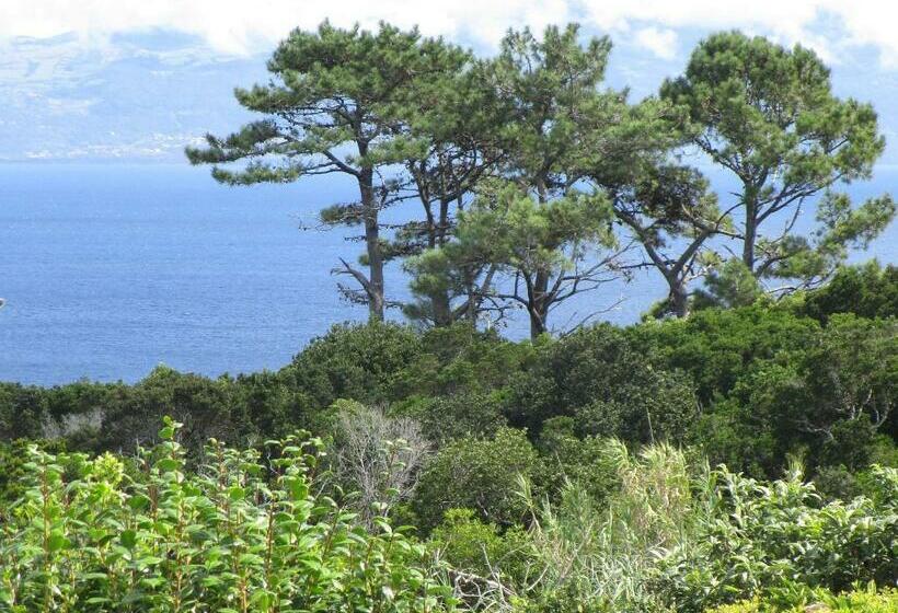 Vila Holanda Bed & Breakfast