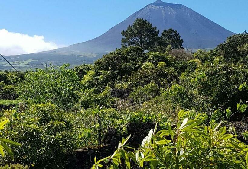 Vila Holanda Bed & Breakfast