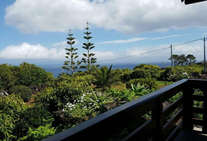 Vila Holanda Bed & Breakfast