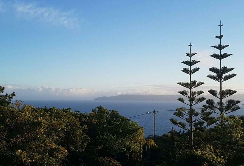 Vila Holanda Bed & Breakfast