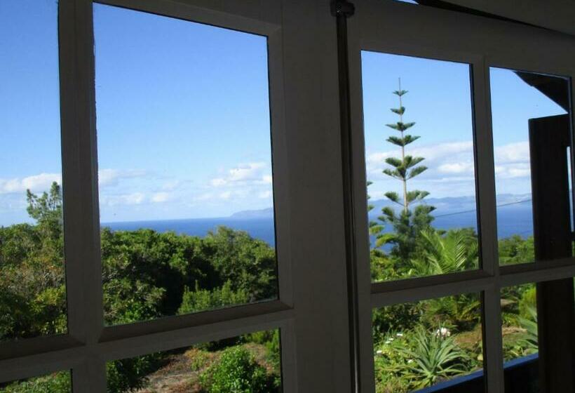 Vila Holanda Bed & Breakfast