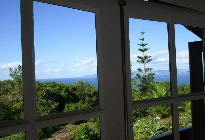 Vila Holanda Bed & Breakfast