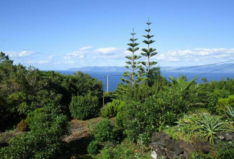 Vila Holanda Bed & Breakfast