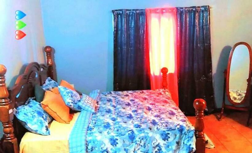 Bed & Breakfast Royal Navy Blue