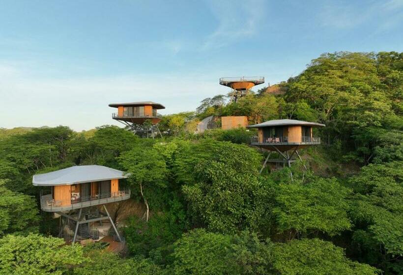 ホテル Suitree Experience