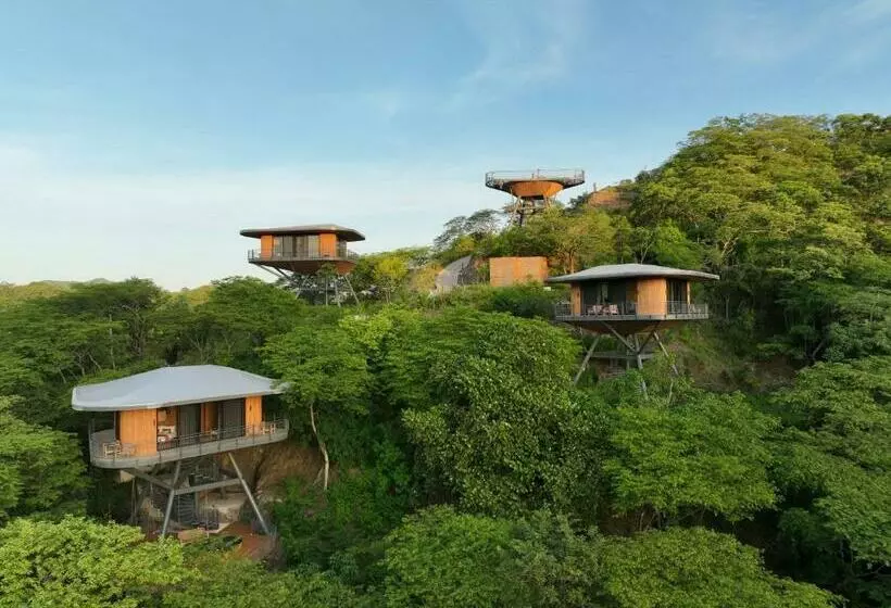 Hotelli Suitree Experience