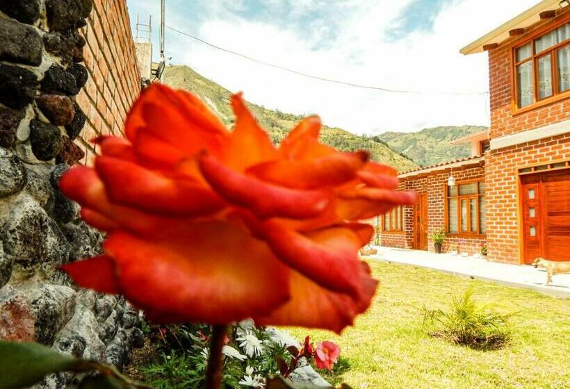 Panzió Pampa Garden