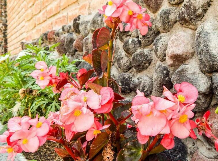 Panzió Pampa Garden