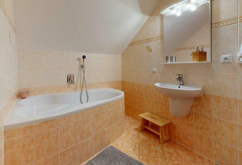 פנסיון Penzion Patrik Mikulčin Vrch