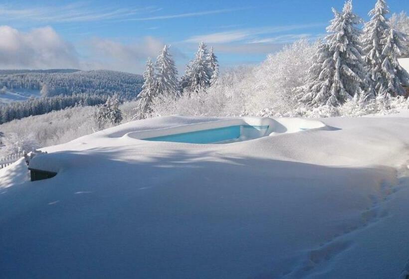 פנסיון Penzion Patrik Mikulčin Vrch