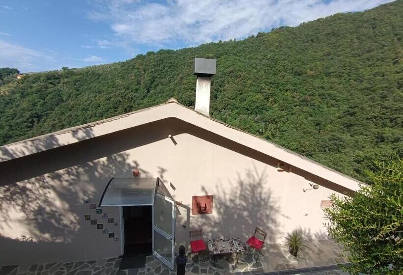 פנסיון Tottavilla Affittacamere