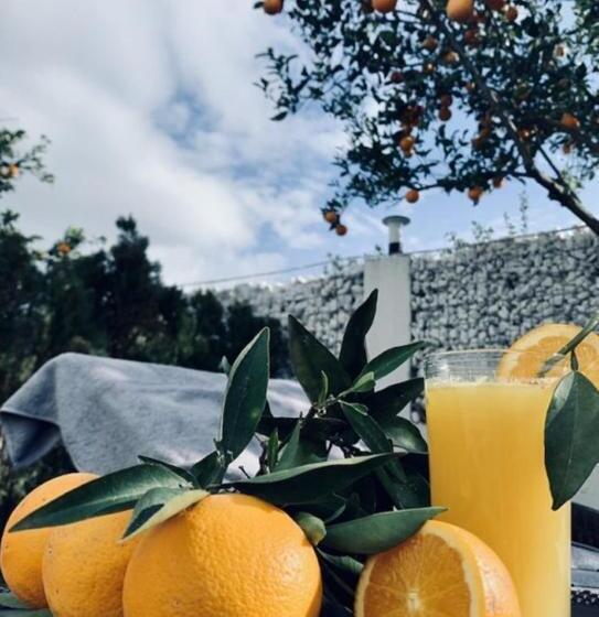 استراحتگاه Side Mira Palace & Spa