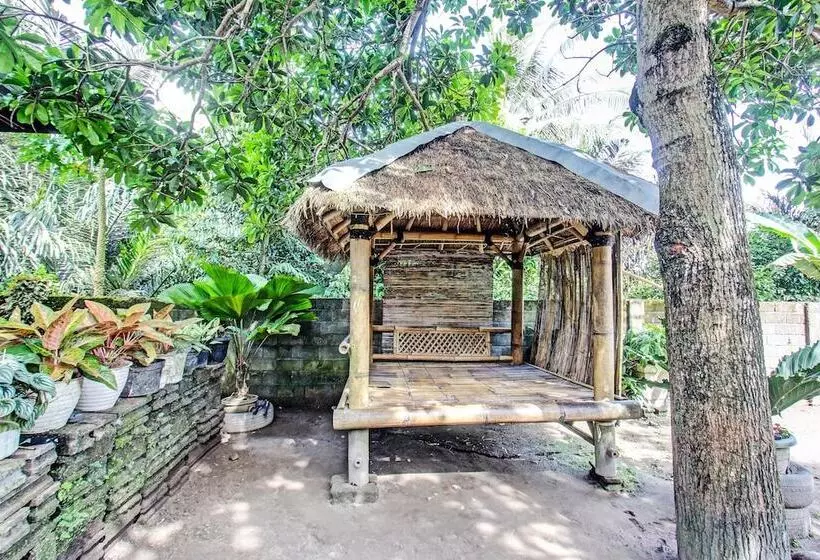 Hotelli Spot On 92149 Ashooy Homestay