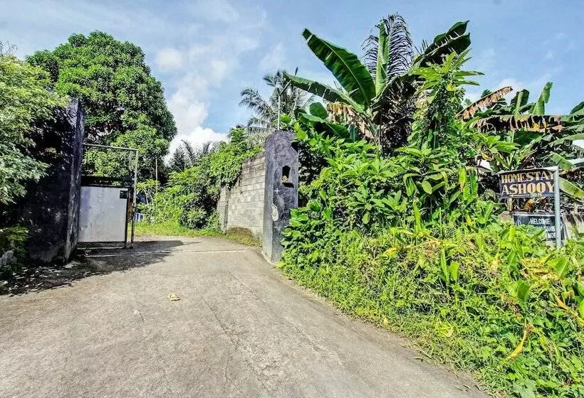 Hotelli Spot On 92149 Ashooy Homestay