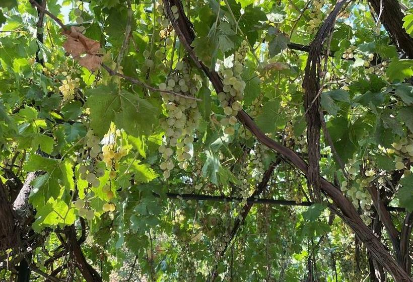 פנסיון Hause Club