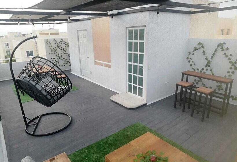 Book House Marina Diamante