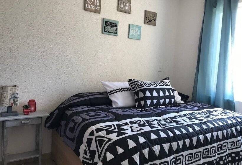 Book House Marina Diamante