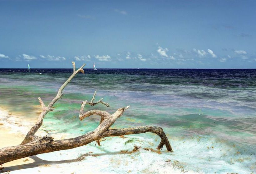 Отель Casa Carola