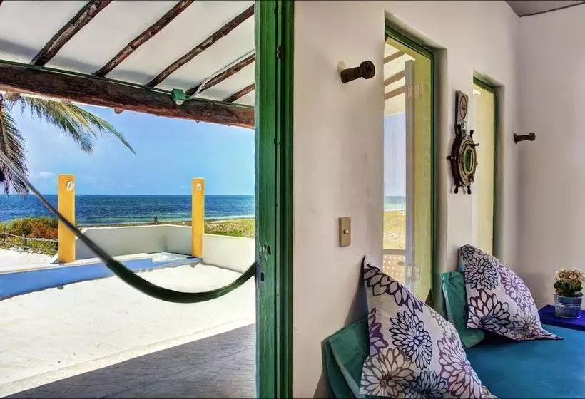 Отель Casa Carola