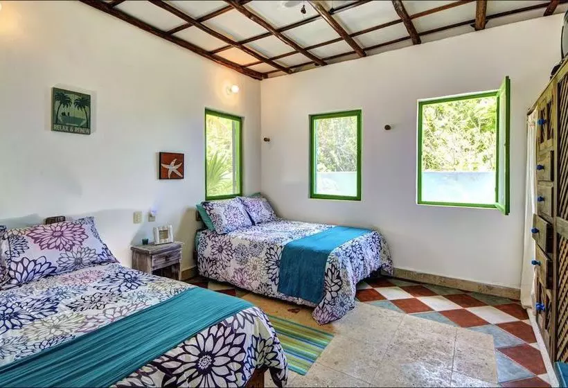 Отель Casa Carola