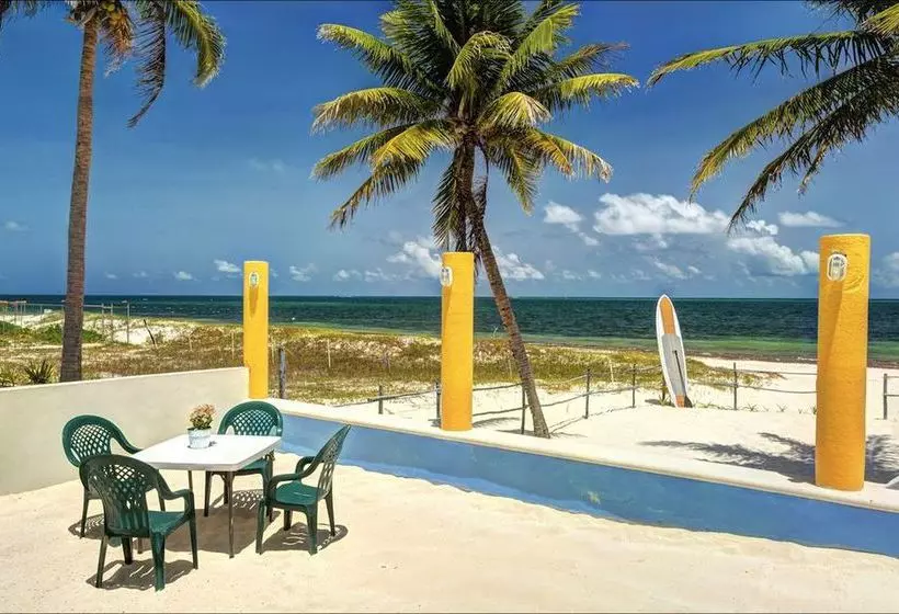 Отель Casa Carola