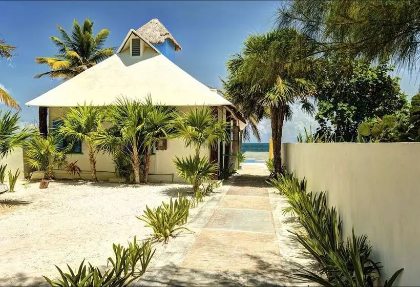 Отель Casa Carola