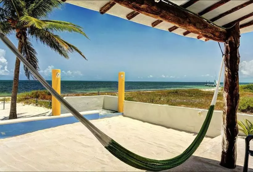 Отель Casa Carola