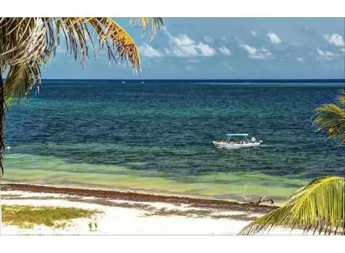 Отель Casa Carola