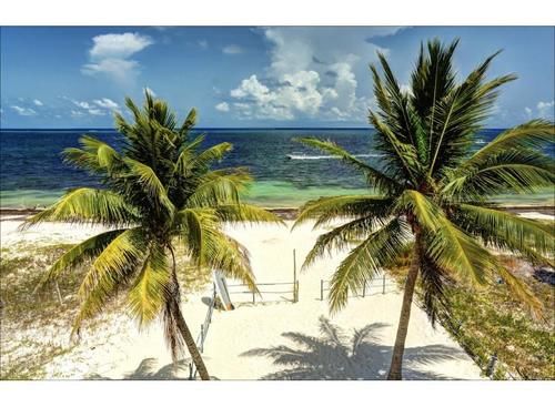 Отель Casa Carola