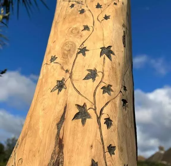 ホテル Findon Manor