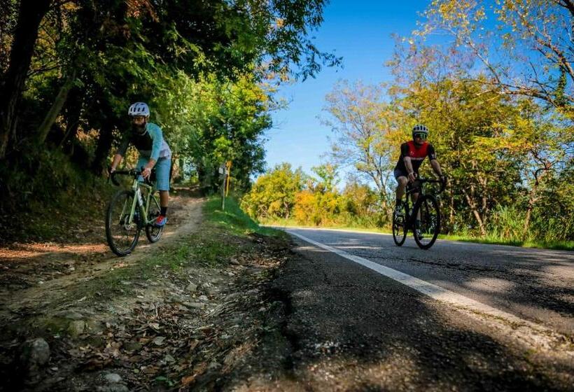 Отель Giovanna Regina