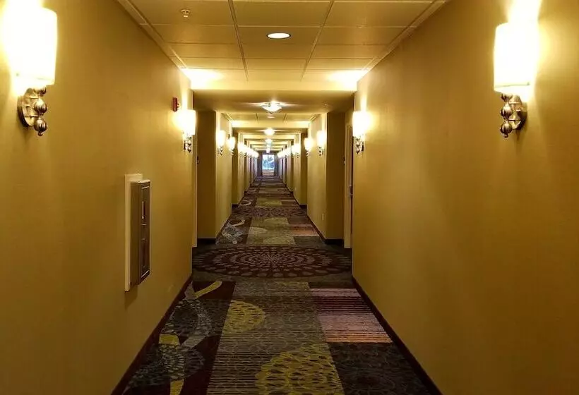 Отель Glacier Peaks