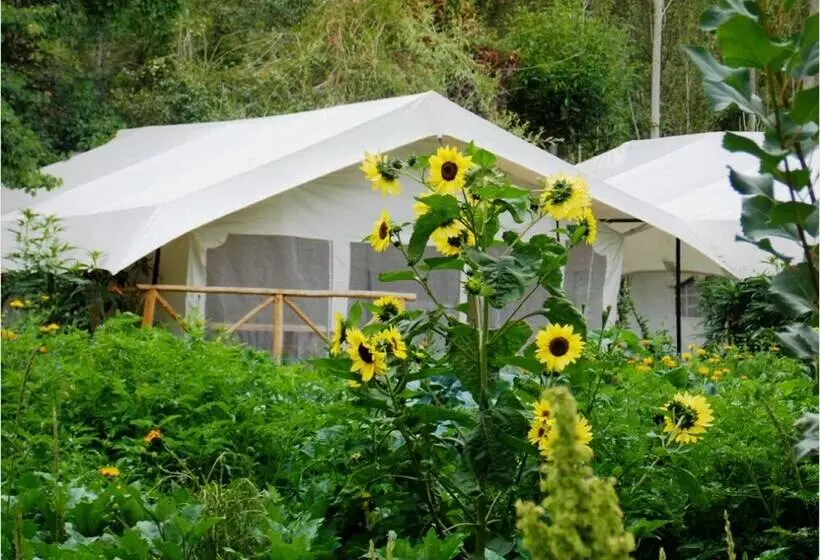 فندق Tih Mystique Meadows Camp