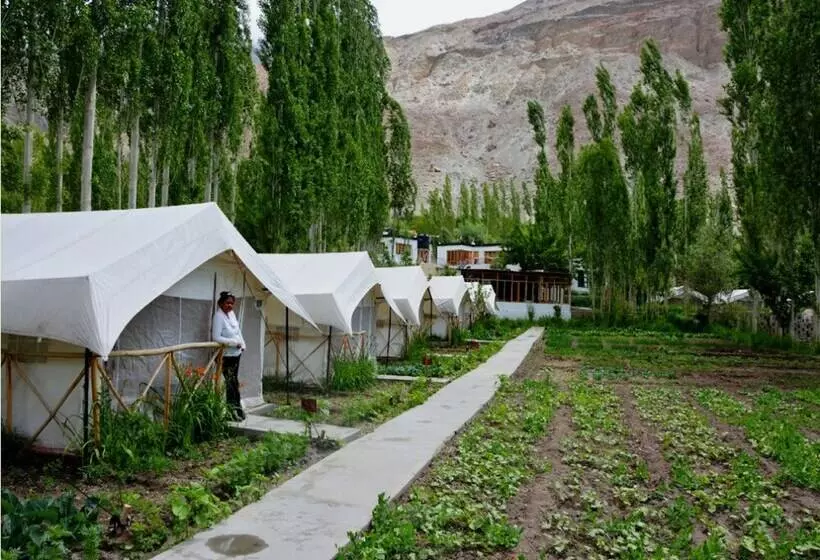 فندق Tih Mystique Meadows Camp
