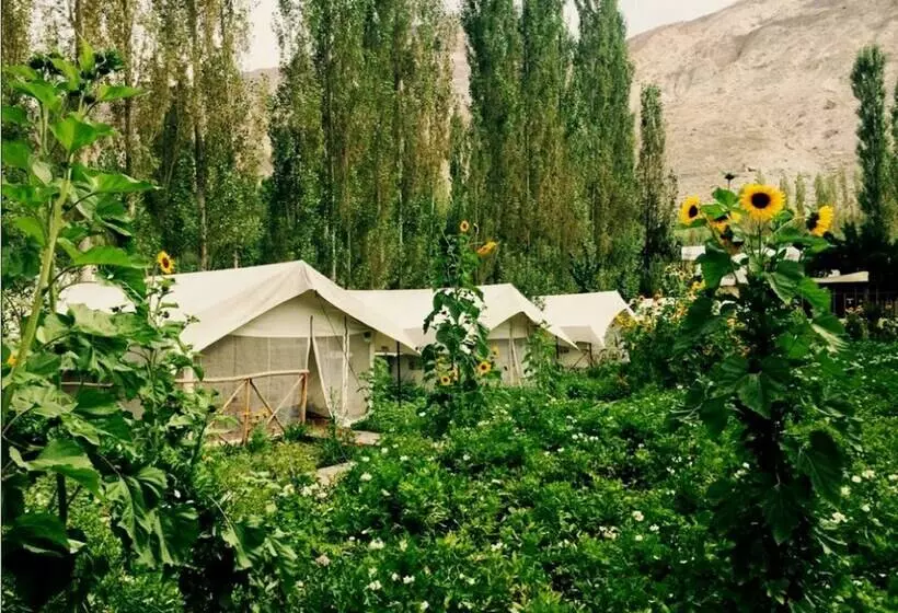 فندق Tih Mystique Meadows Camp
