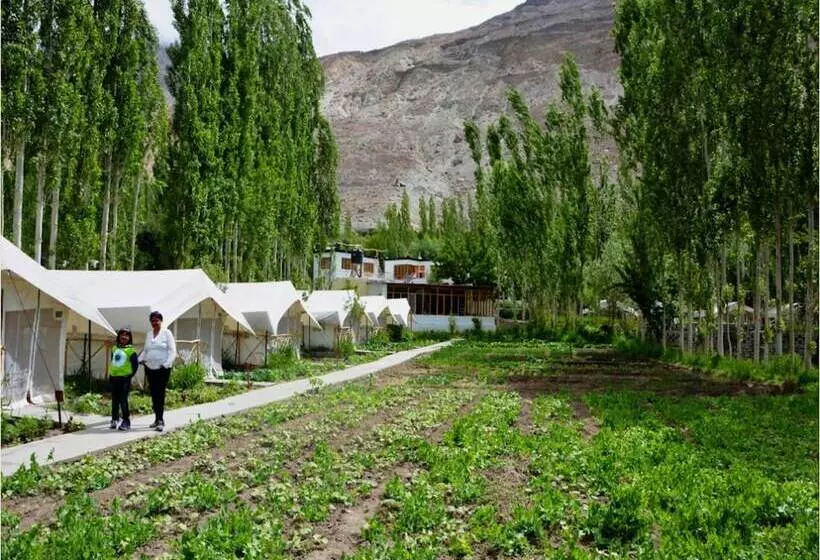 فندق Tih Mystique Meadows Camp