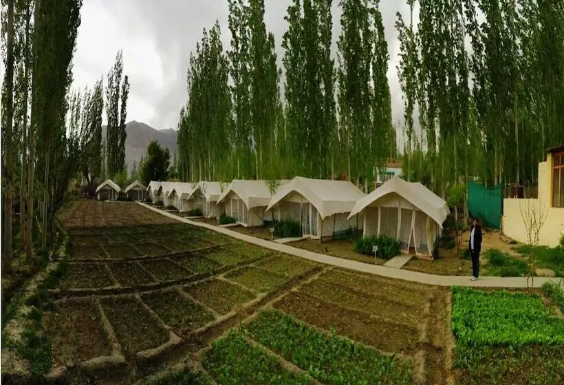 فندق Tih Mystique Meadows Camp