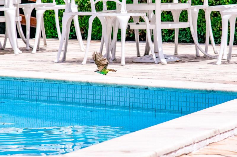 ホテル Tres Palmeiras