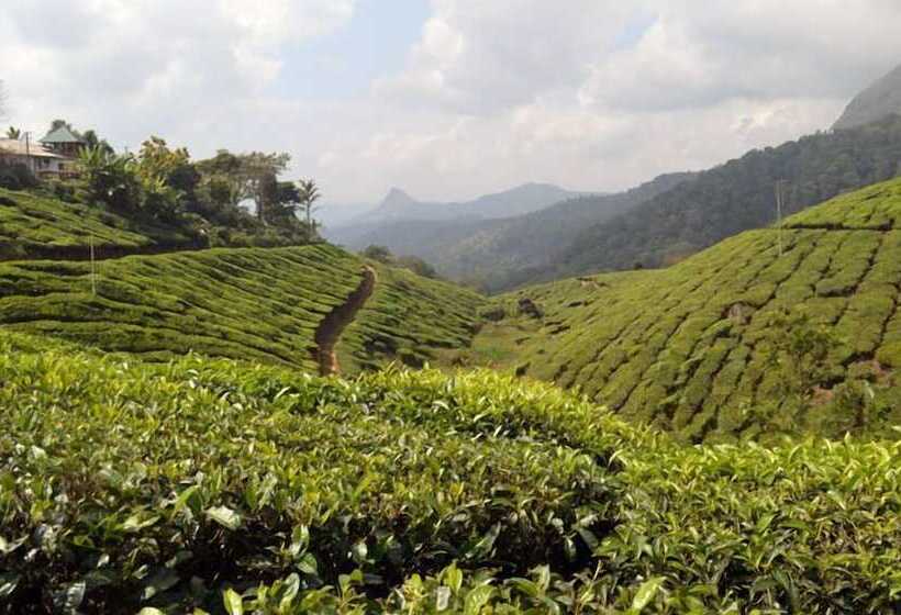 Munnar Tea Hills Resort Mthr