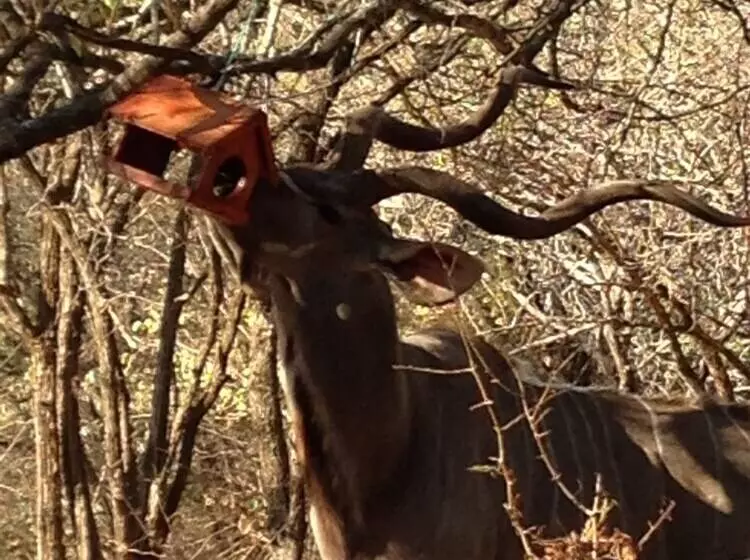 膳宿费 Le Roux Lodge
