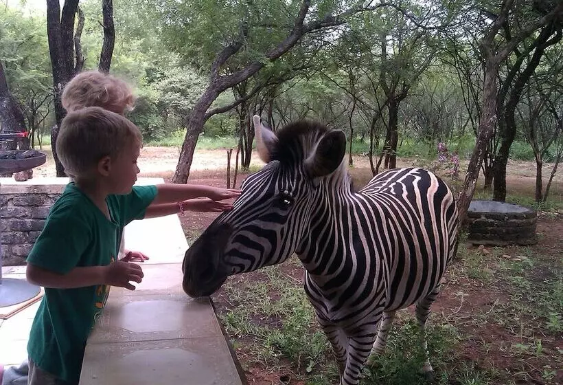 膳宿费 Le Roux Lodge