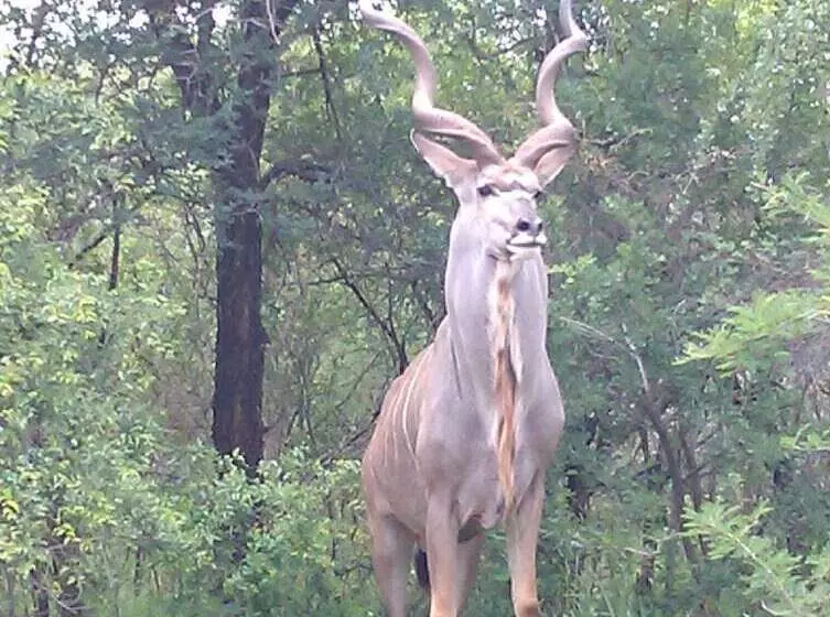 膳宿费 Le Roux Lodge