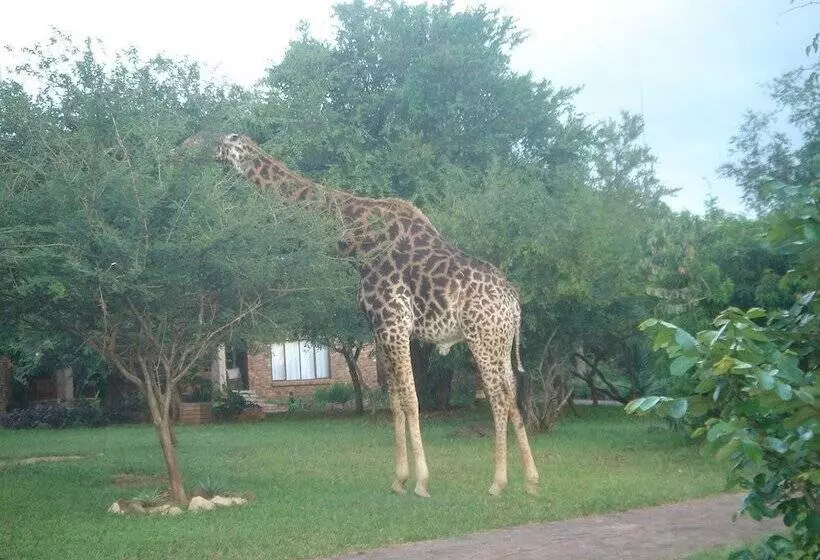 膳宿费 Le Roux Lodge