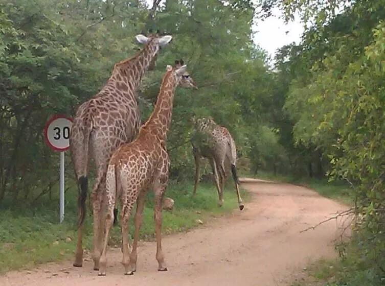 膳宿费 Le Roux Lodge
