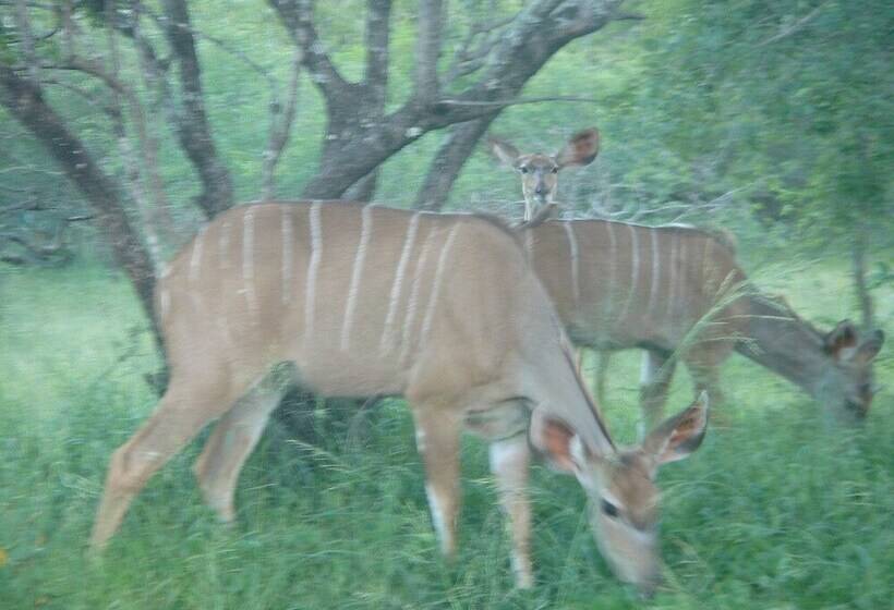 펜션 Le Roux Lodge