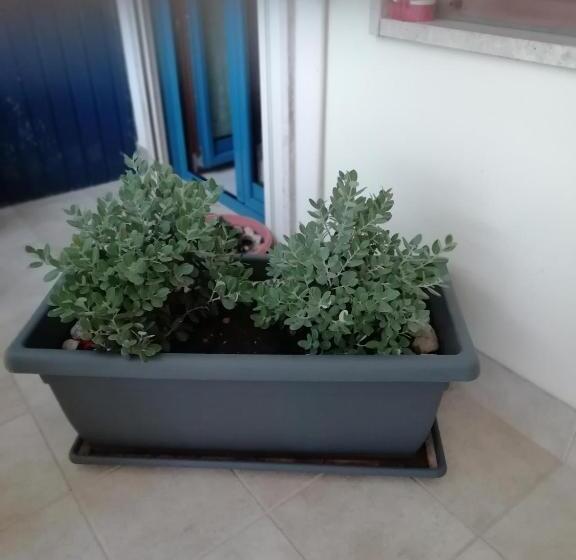 צימר Da Luigi Locazioni Brevi Turistiche