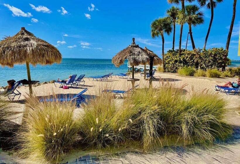 Condo Less Than 5 Min From Airport With Sunset Views