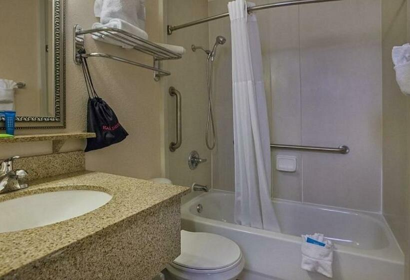 Condo Less Than 5 Min From Airport With Sunset Views