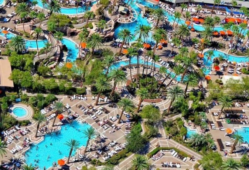 Jet Luxury Elite At The Signature