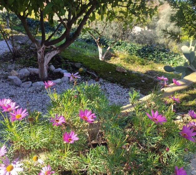 Onur Motel Faralya Fethi̇ye